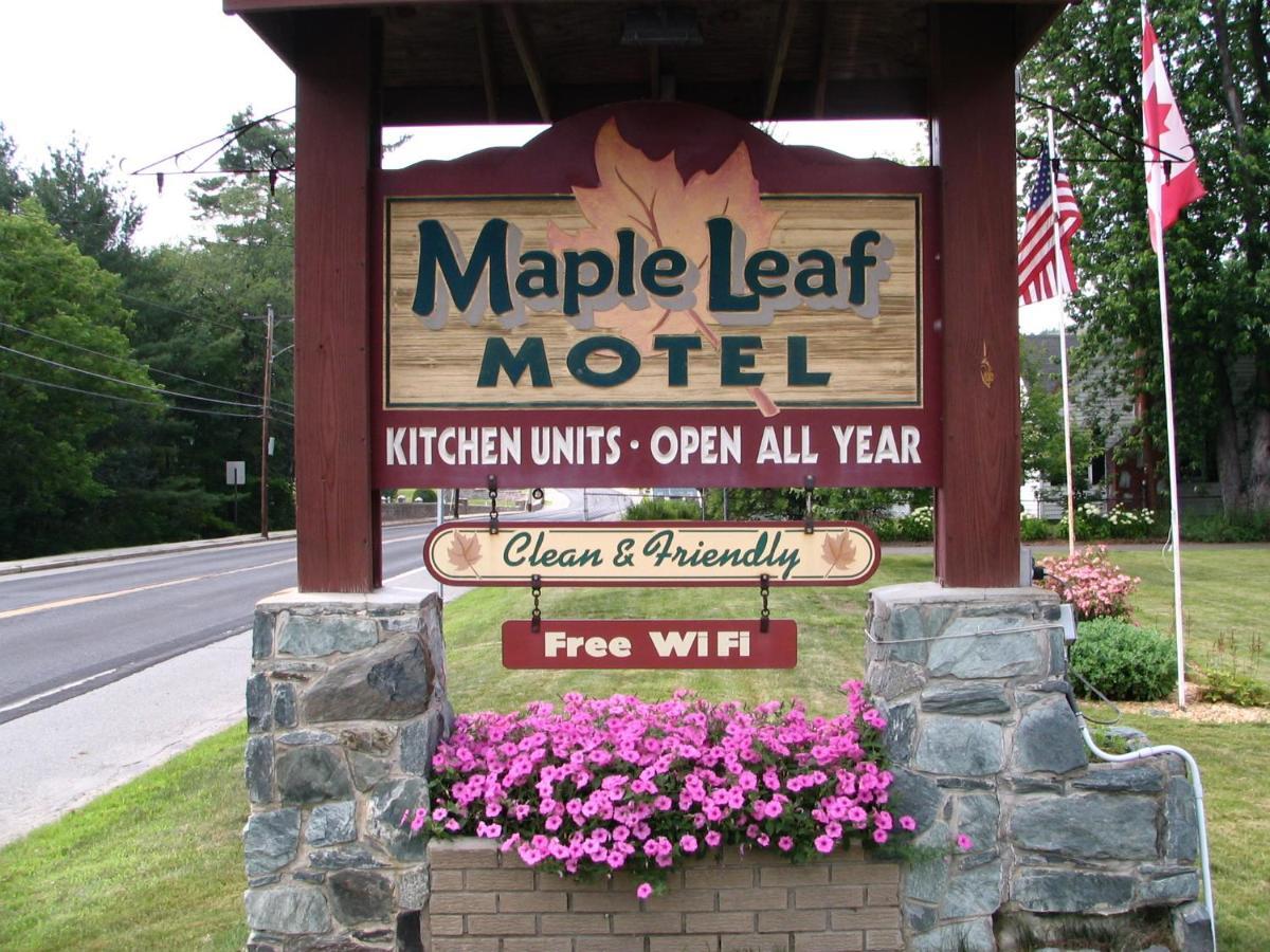 Maple Leaf Motel Littleton Exterior foto